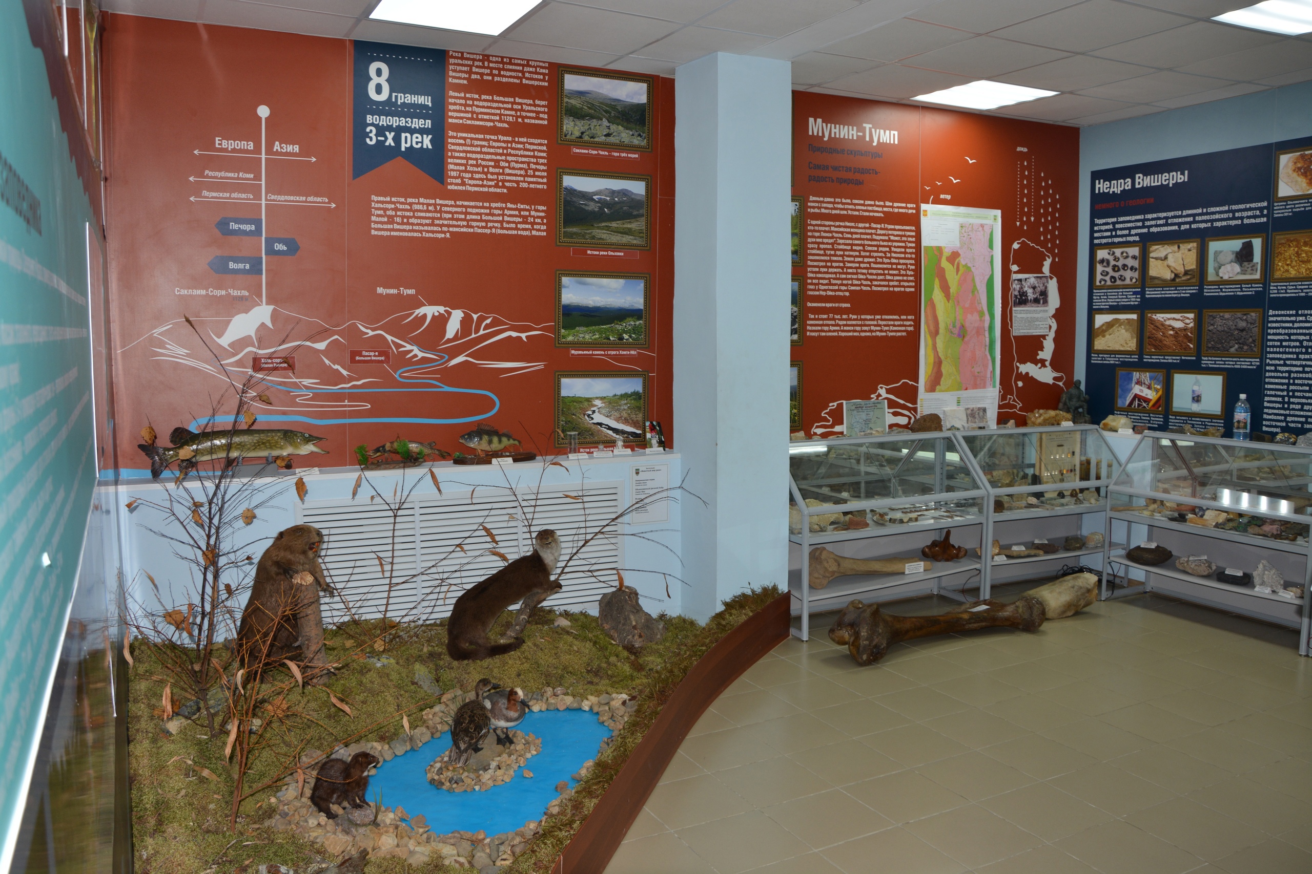 музей природы заповедника "Вишерский"